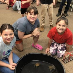 Reptiles in Yalobusha County