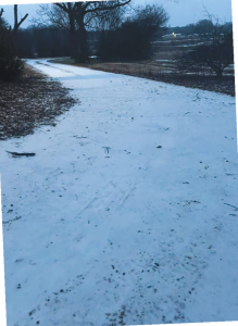 Untitled_Page_03