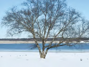 Untitled_Page_37